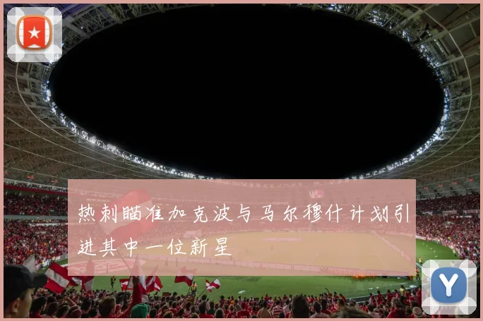 热刺瞄准加克波与马尔穆什计划引进其中一位新星