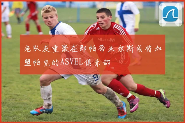老队友重聚在即帕蒂米尔斯或将加盟帕克的ASVEL俱乐部