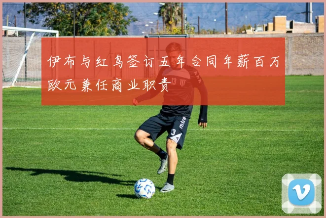 伊布与红鸟签订五年合同年薪百万欧元兼任商业职责