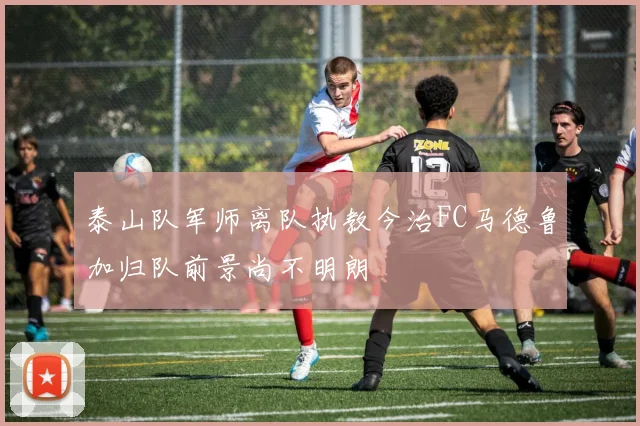 泰山队军师离队执教今治FC马德鲁加归队前景尚不明朗